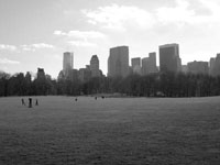 Central Park